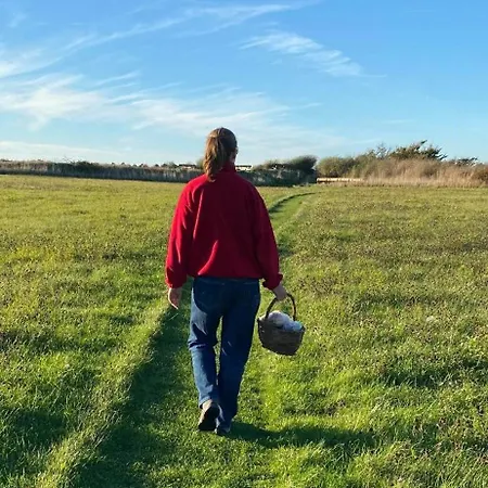 Quiet In House By The South Funen Archipelago *