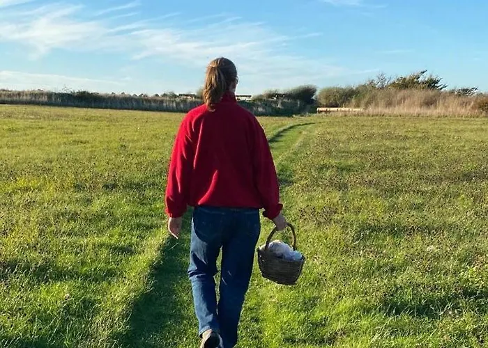 Quiet In House By The South Funen Archipelago *